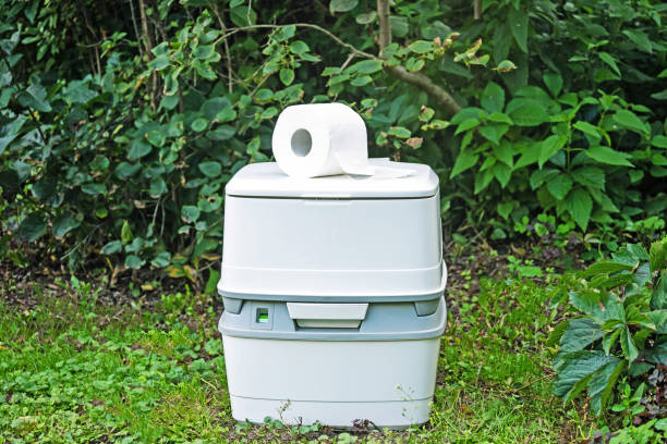Best Affordable portable toilet rental  in Fruitland, MD